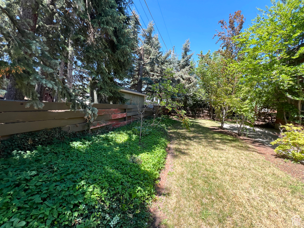 View of fenced backyard