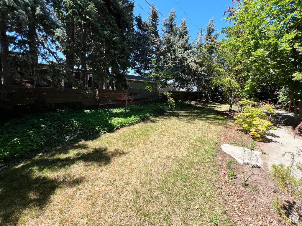 View of green lawn