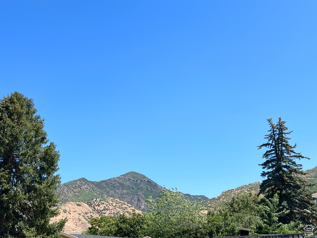 Mountain view