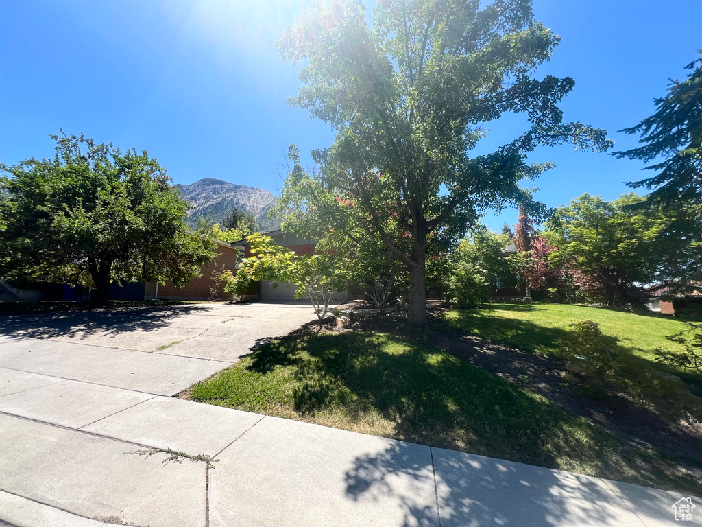 View of green lawn featuring concrete driveway and a mountain view