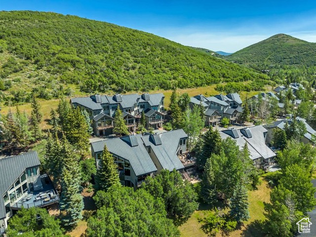 Aerial view of residential area with a forest and a mountain backdrop