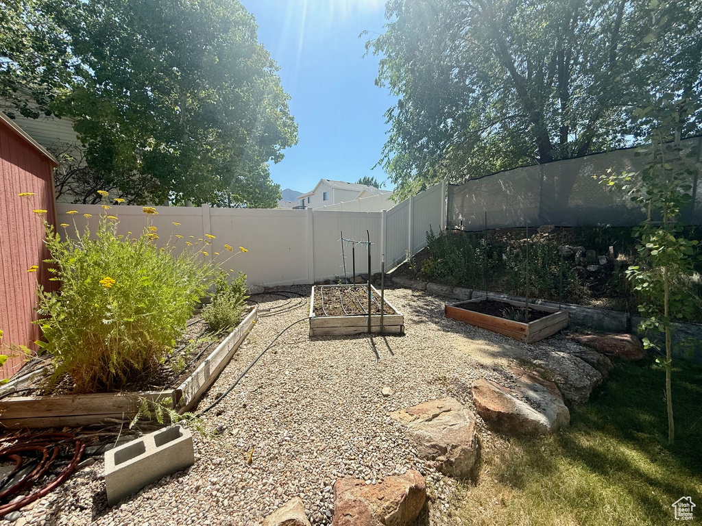 View of yard with a vegetable garden