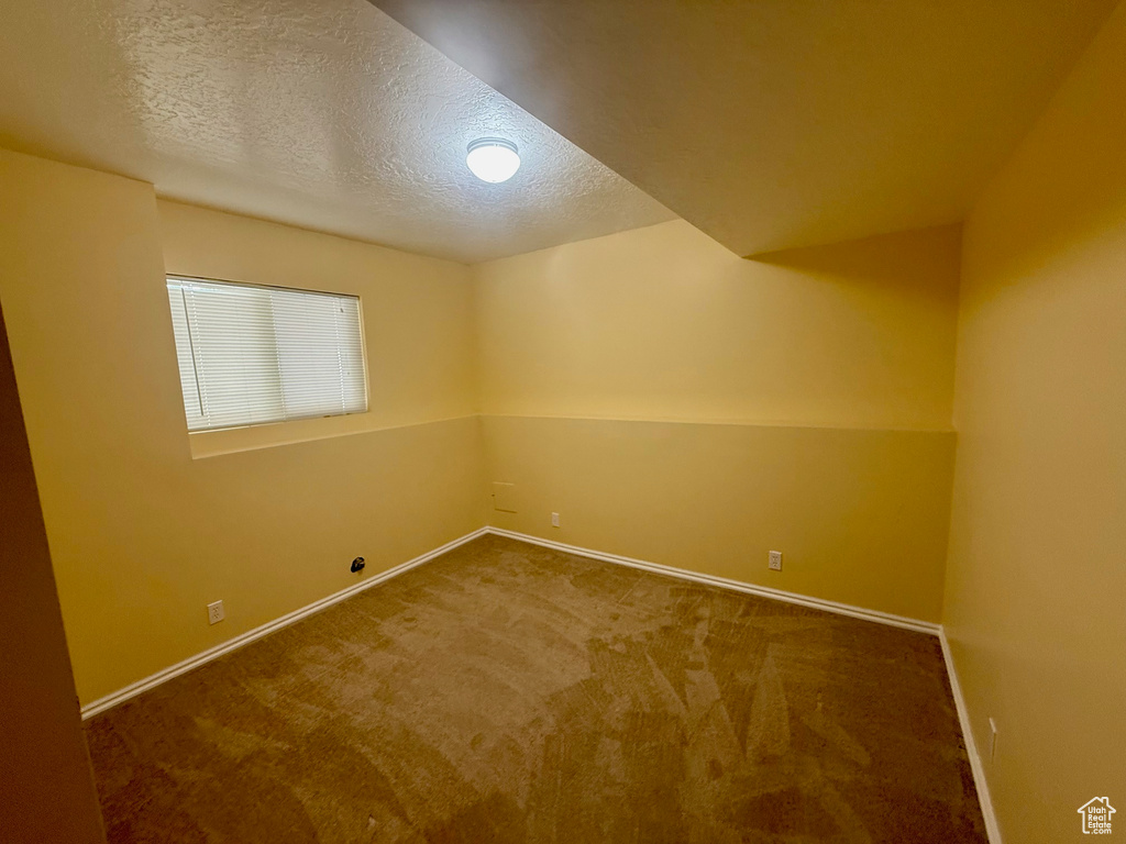Additional living space featuring a textured ceiling and carpet flooring