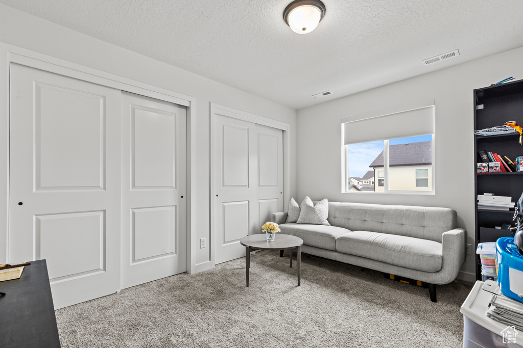 Living area with carpet flooring and a textured ceiling