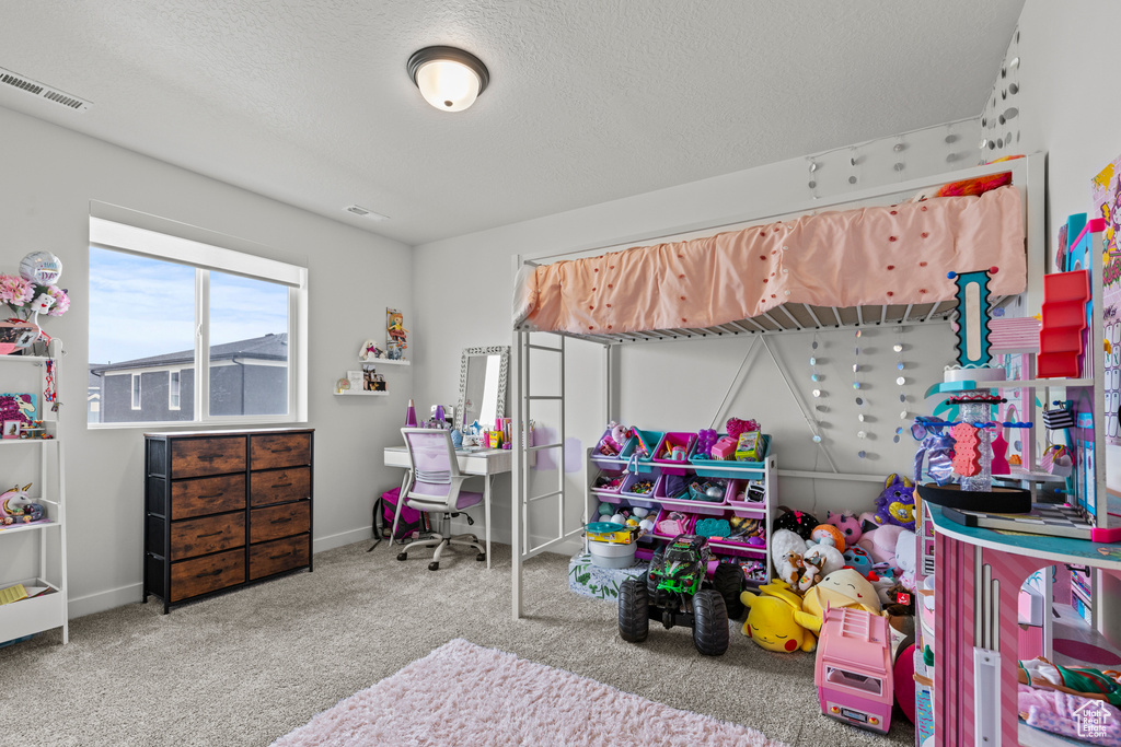 Rec room with carpet floors and a textured ceiling