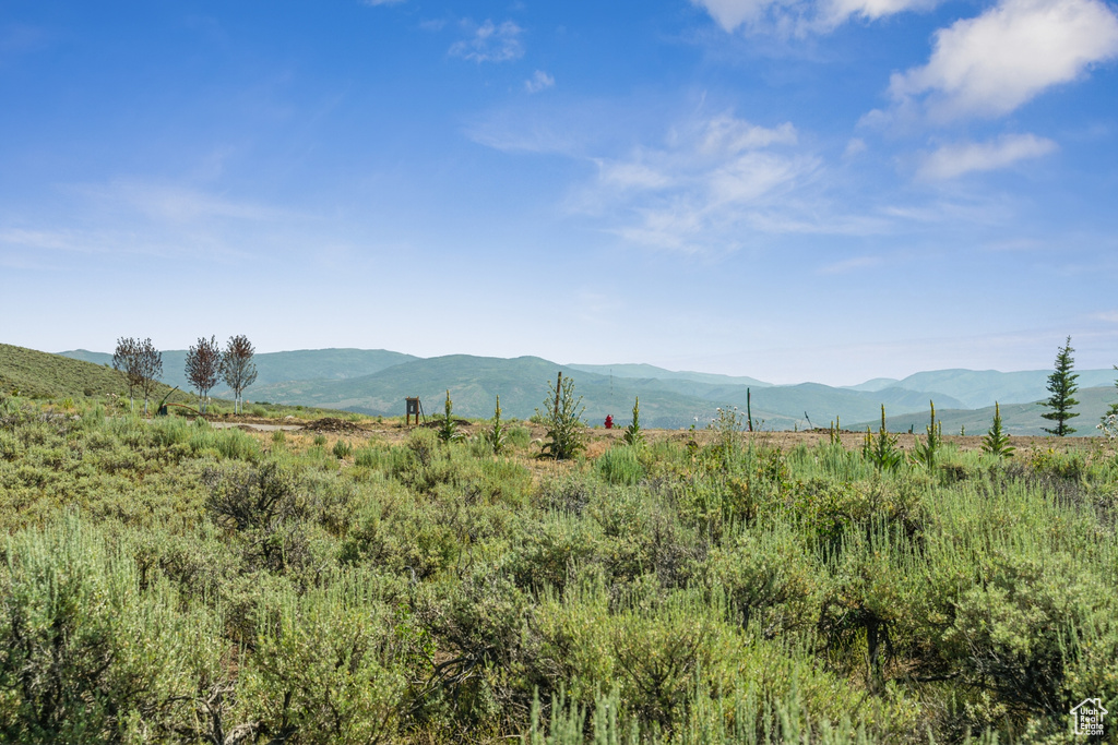 View of mountain background featuring rural landscape