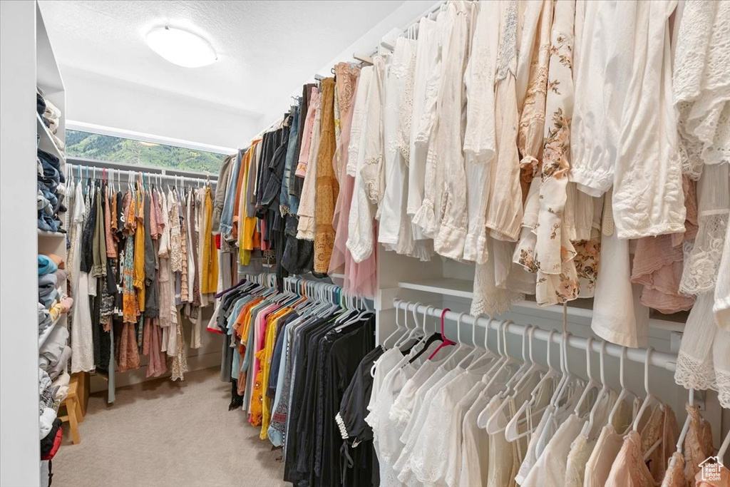 Spacious closet featuring carpet floors