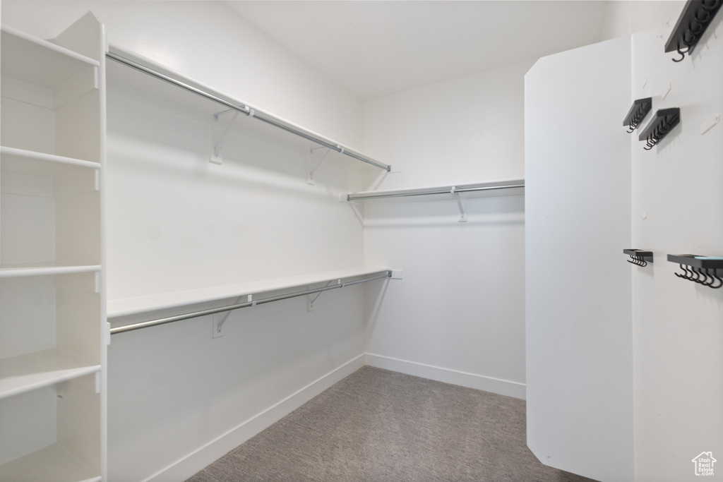 Spacious closet featuring carpet flooring