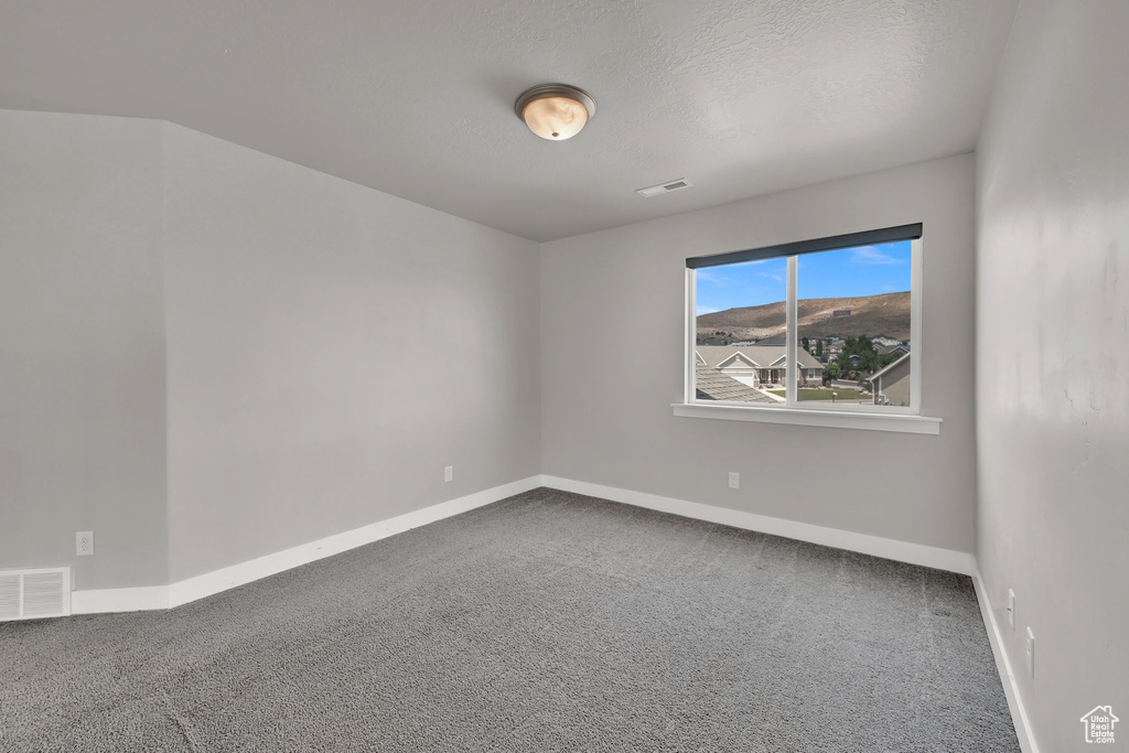 Carpeted spare room featuring baseboards and a textured ceiling