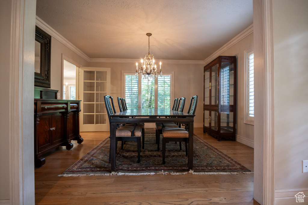 13251 S 1162 E Draper, UT 84020