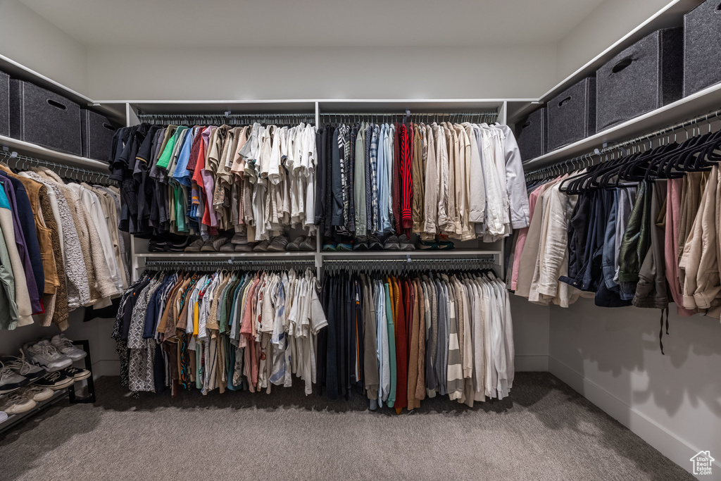 Walk in closet with carpet floors