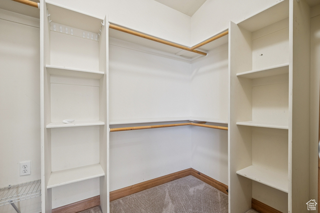 Spacious closet featuring carpet