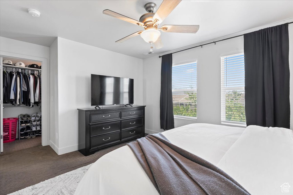 Carpeted bedroom with a walk in closet and a ceiling fan