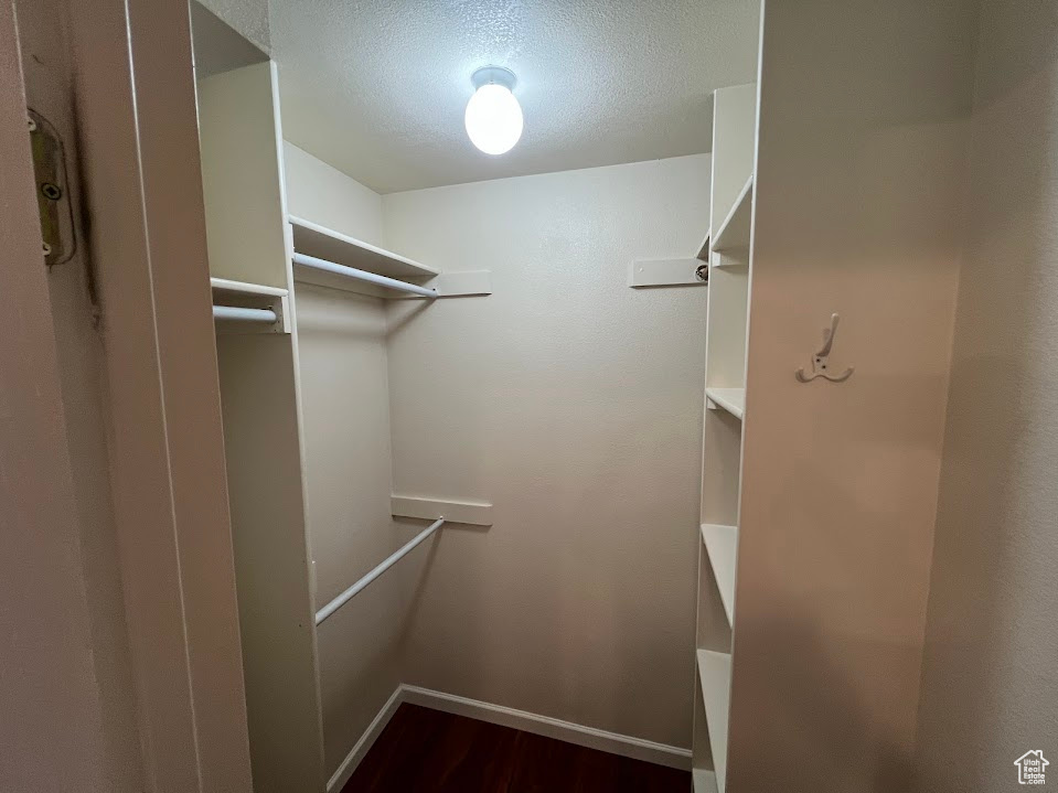 Spacious closet featuring dark wood-style floors