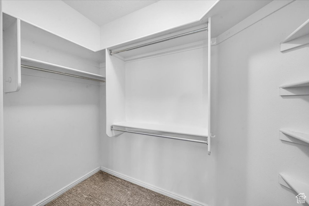 Spacious closet featuring carpet flooring