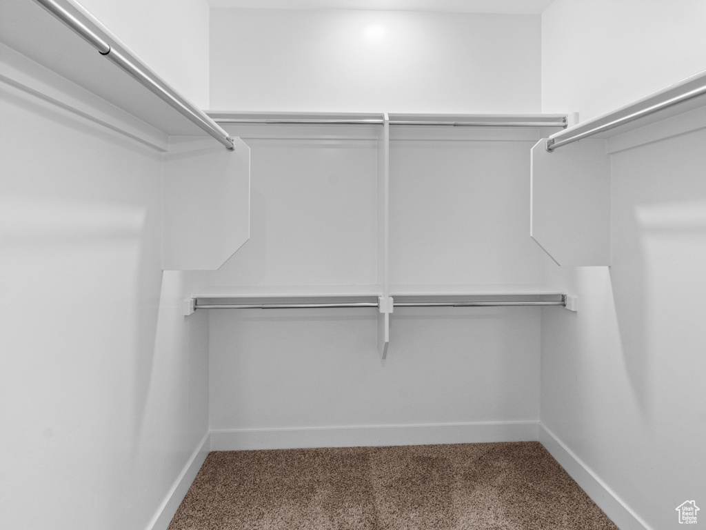 Spacious closet featuring carpet floors