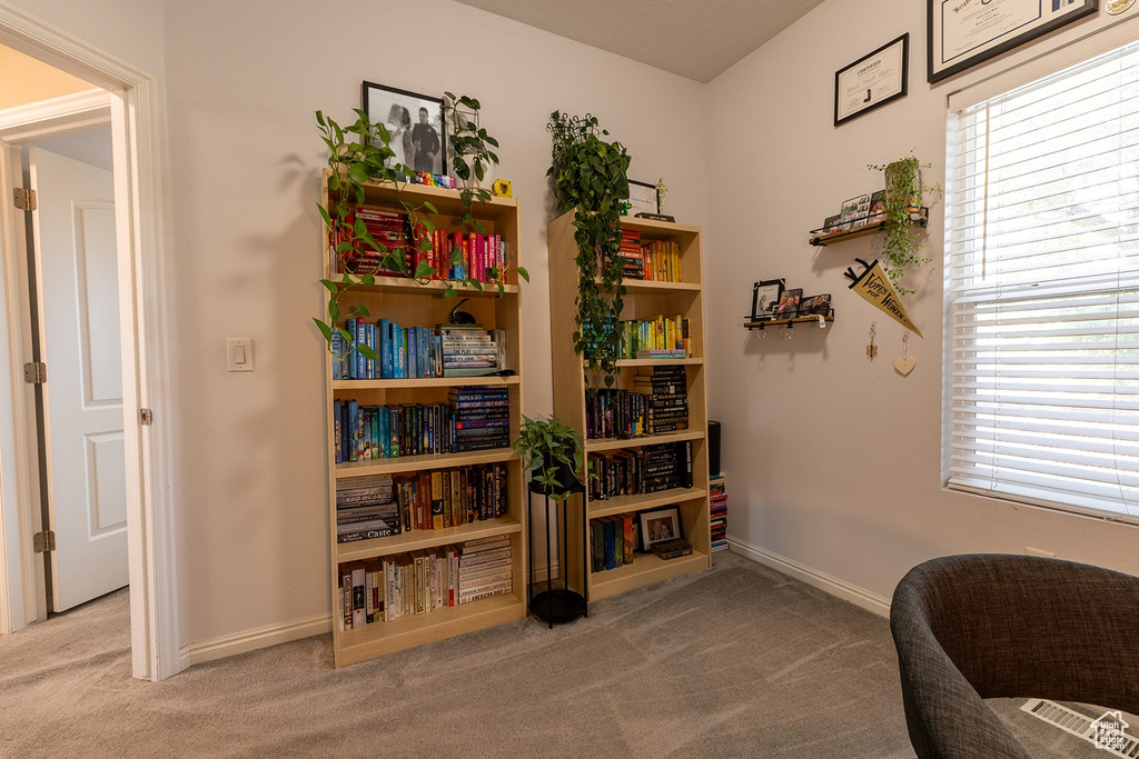 Sitting room with carpet floors and healthy amount of natural light