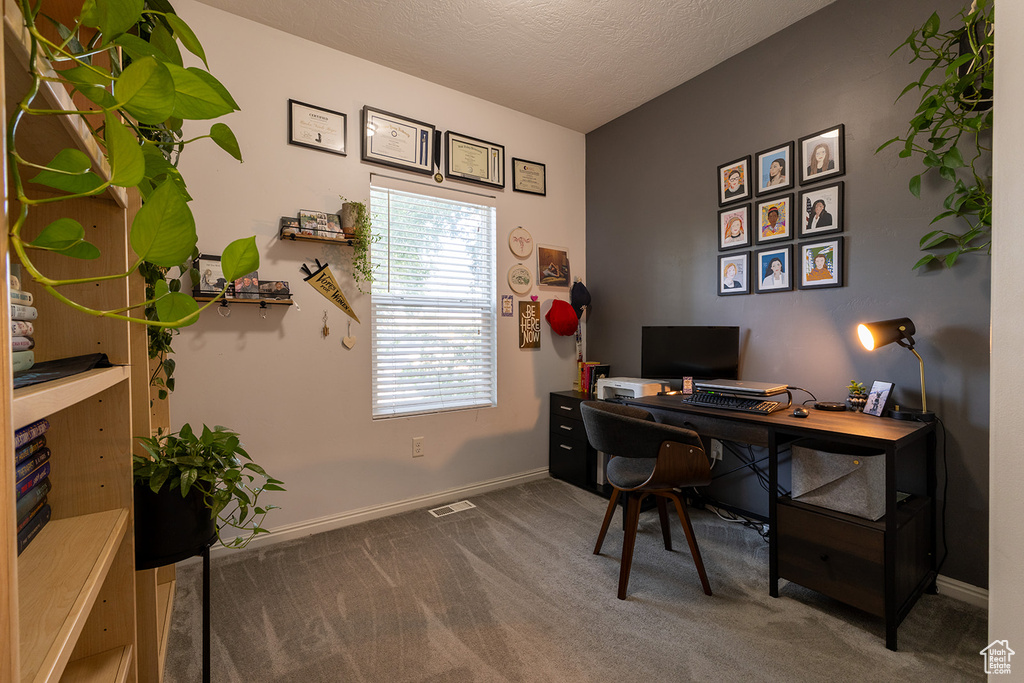 Carpeted office featuring baseboards and a textured ceiling