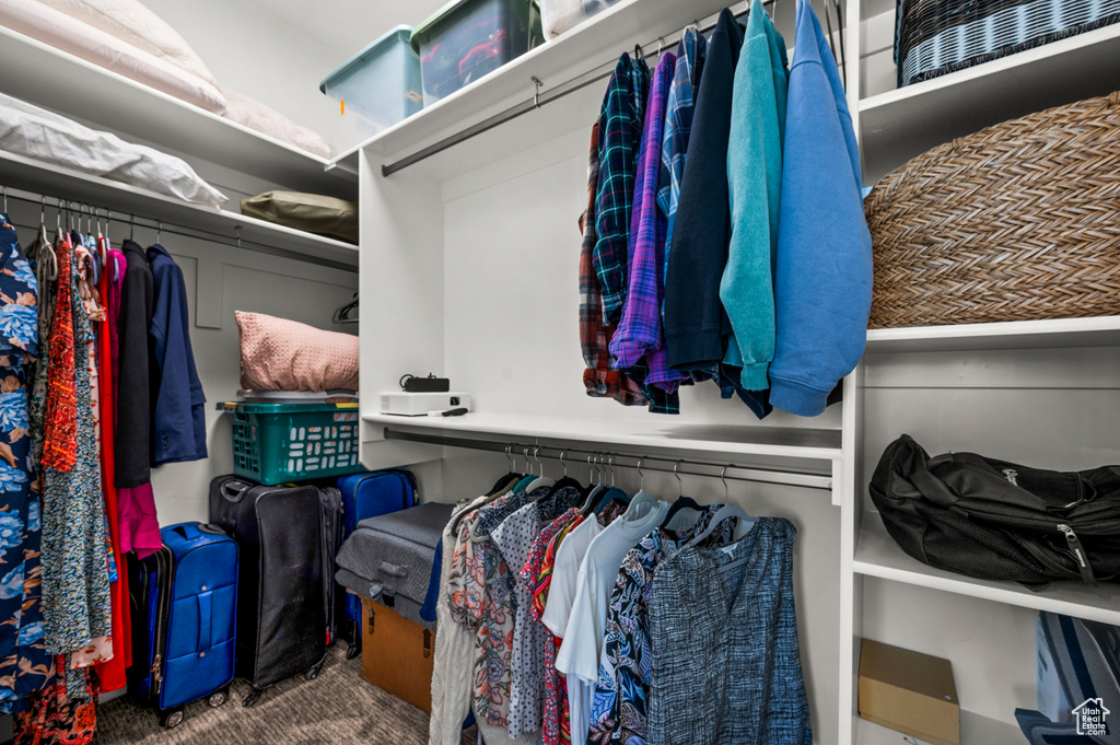 Walk in closet with carpet floors