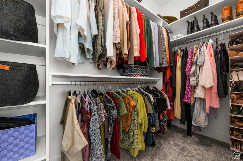 Walk in closet featuring carpet floors
