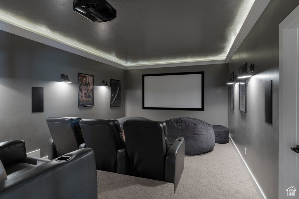 Cinema featuring carpet floors, a tray ceiling, and ornamental molding