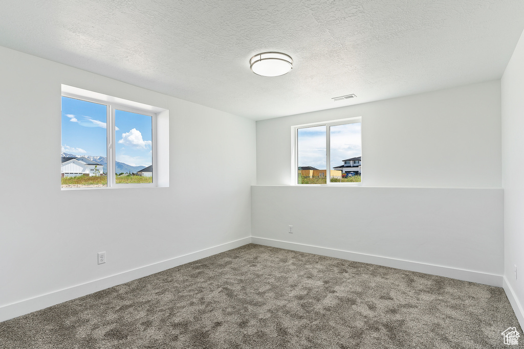 Spare room with healthy amount of natural light, carpet flooring, and a textured ceiling