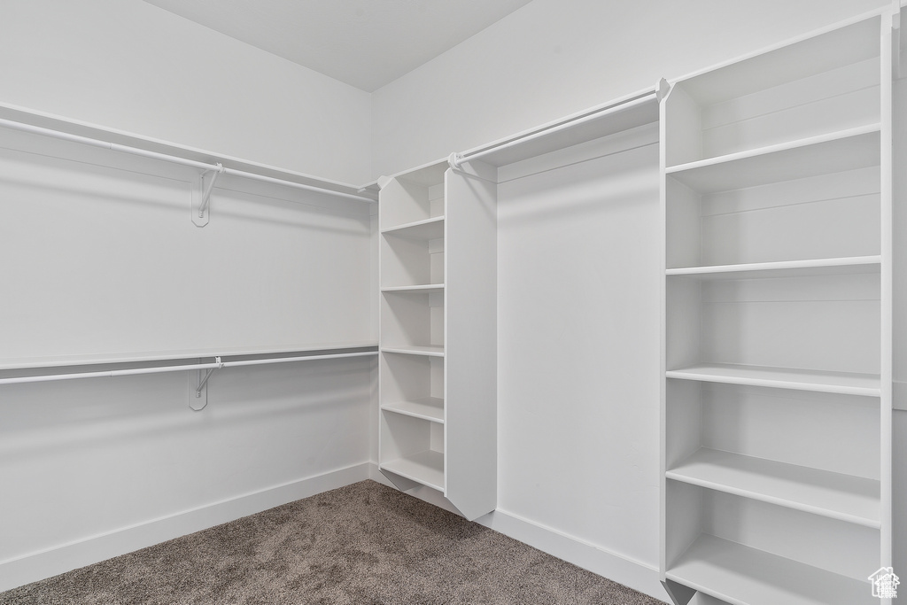 Walk in closet with dark colored carpet