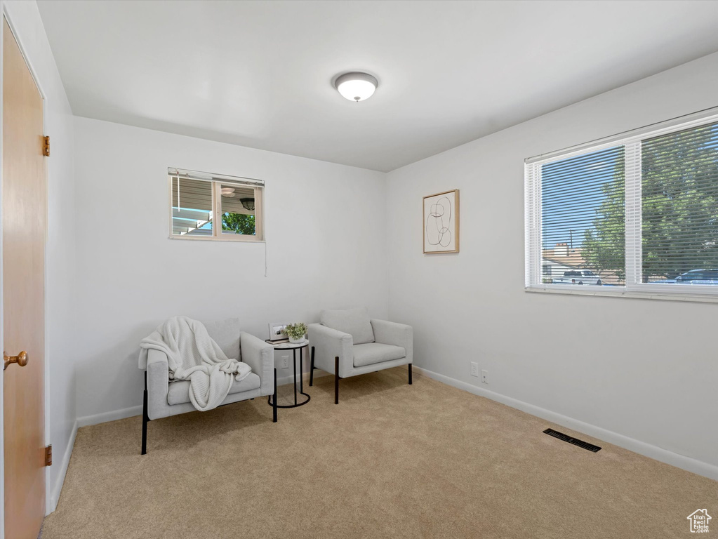 Sitting room featuring healthy amount of natural light and light colored carpet