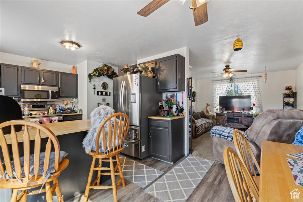 Kitchen with appliances with stainless steel finishes, a ceiling fan, wood finished floors, and open floor plan