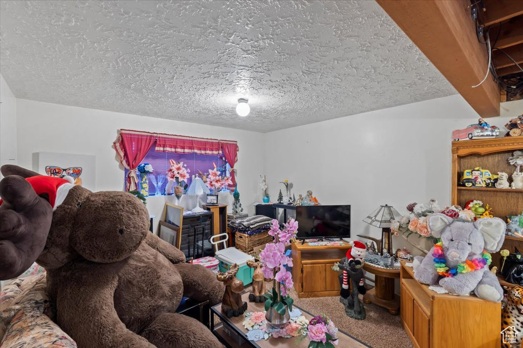 Carpeted living area with a textured ceiling