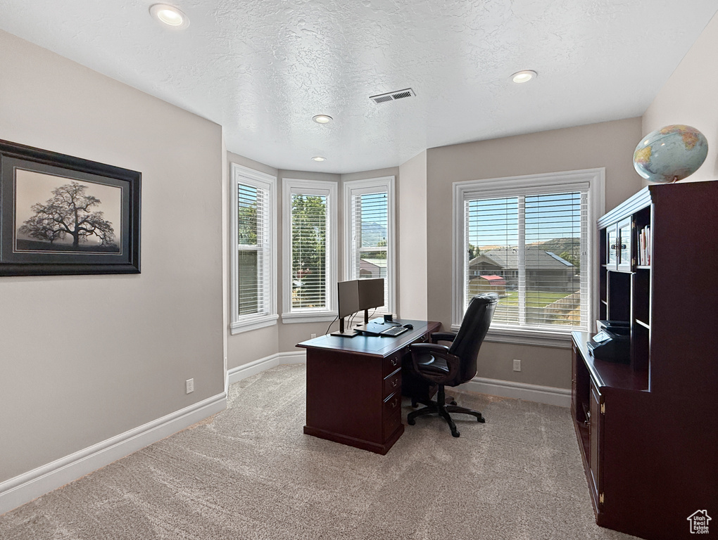 Office area with light colored carpet, a textured ceiling, and recessed lighting