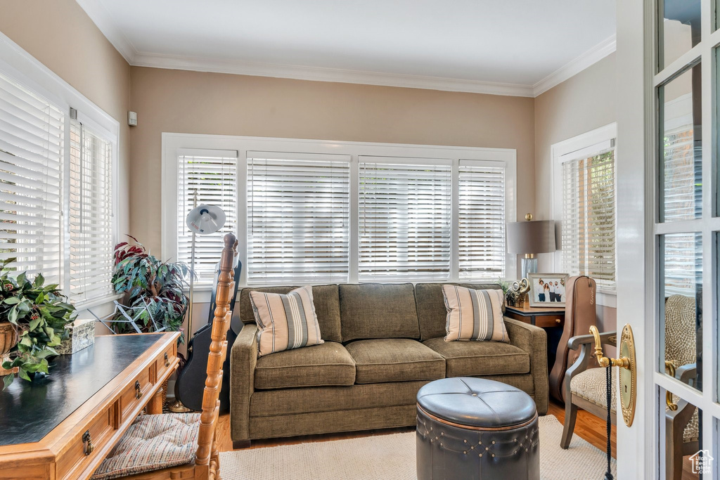 Living area featuring healthy amount of natural light, wood finished floors, and ornamental molding