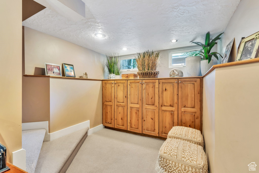 Sitting room with light carpet and a textured ceiling