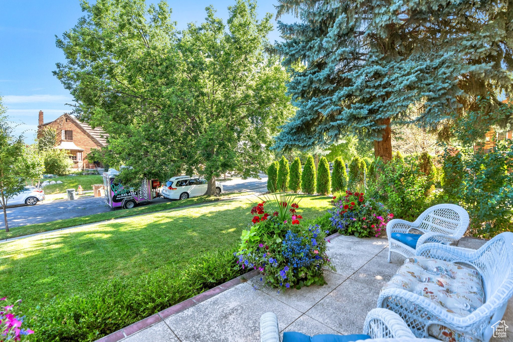 View of grassy yard with a patio area