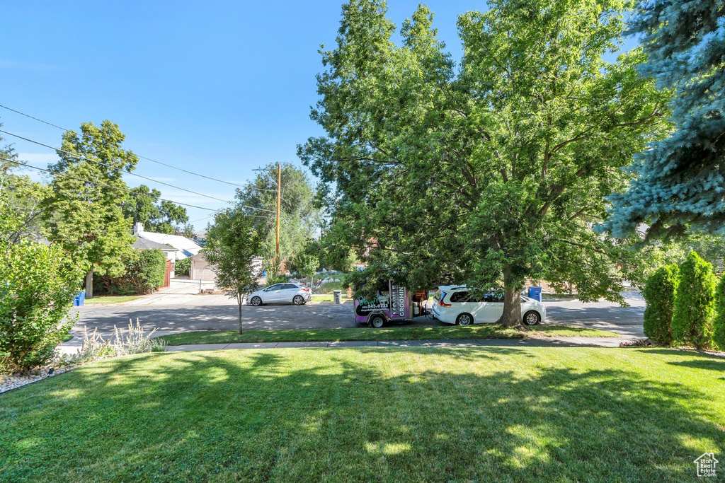 View of grassy yard