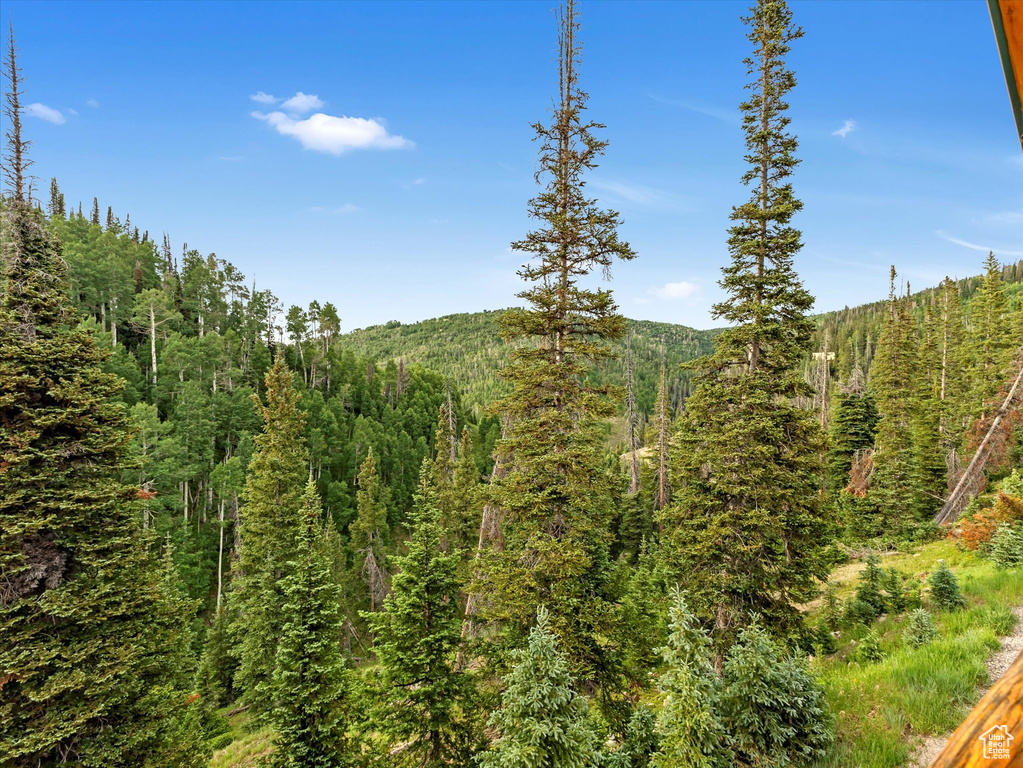 View of tree filled area