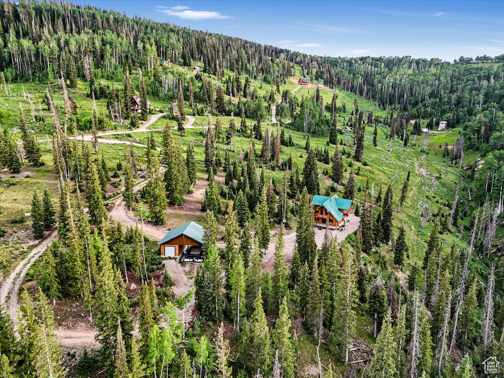 Drone / aerial view of a heavily wooded area