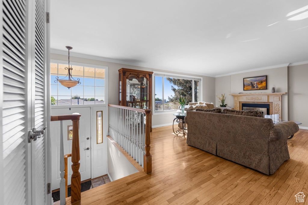 Living area featuring light wood-style flooring, crown molding, and a fireplace