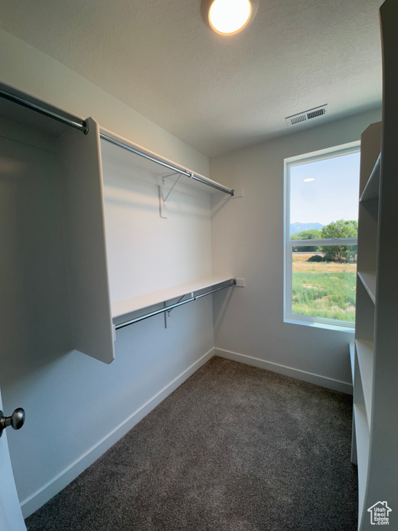 Walk in closet featuring carpet flooring