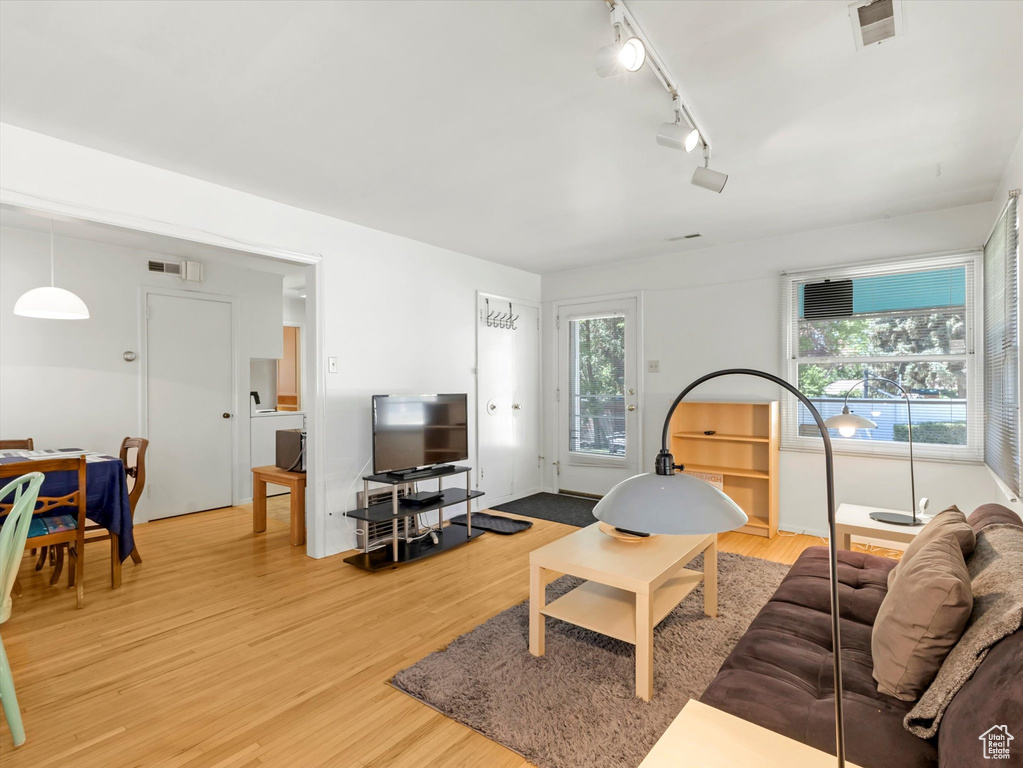 Living room with light wood-style flooring and track lighting