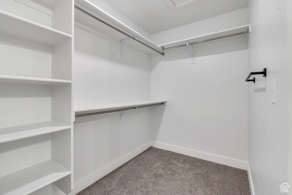 Spacious closet featuring carpet flooring
