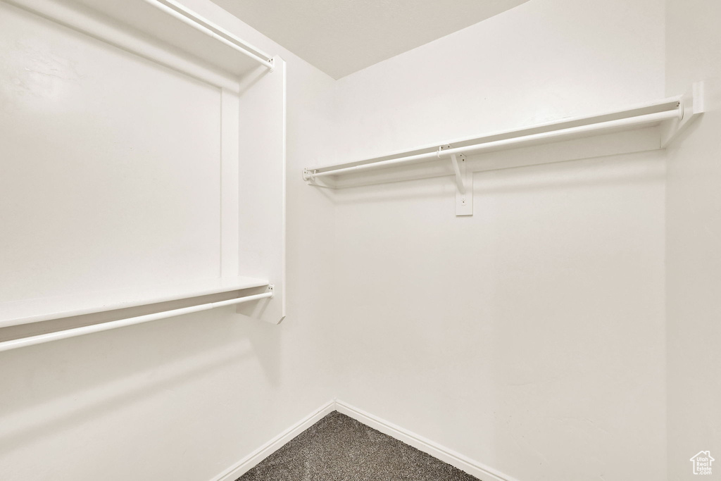 Spacious closet with carpet floors