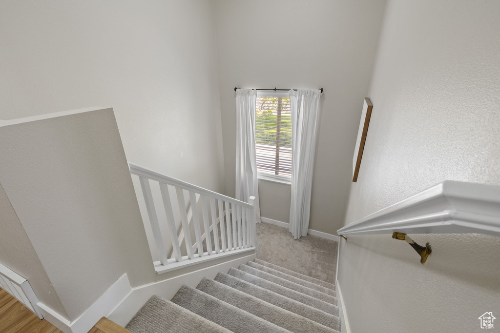 Staircase featuring baseboards and carpet flooring