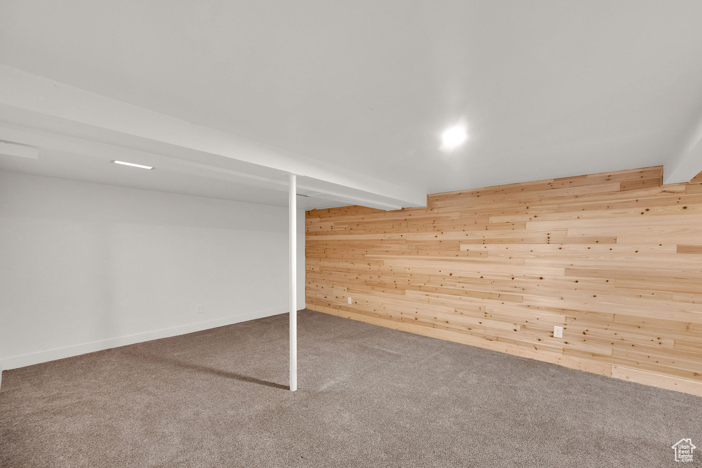 Finished basement featuring wood walls and carpet floors