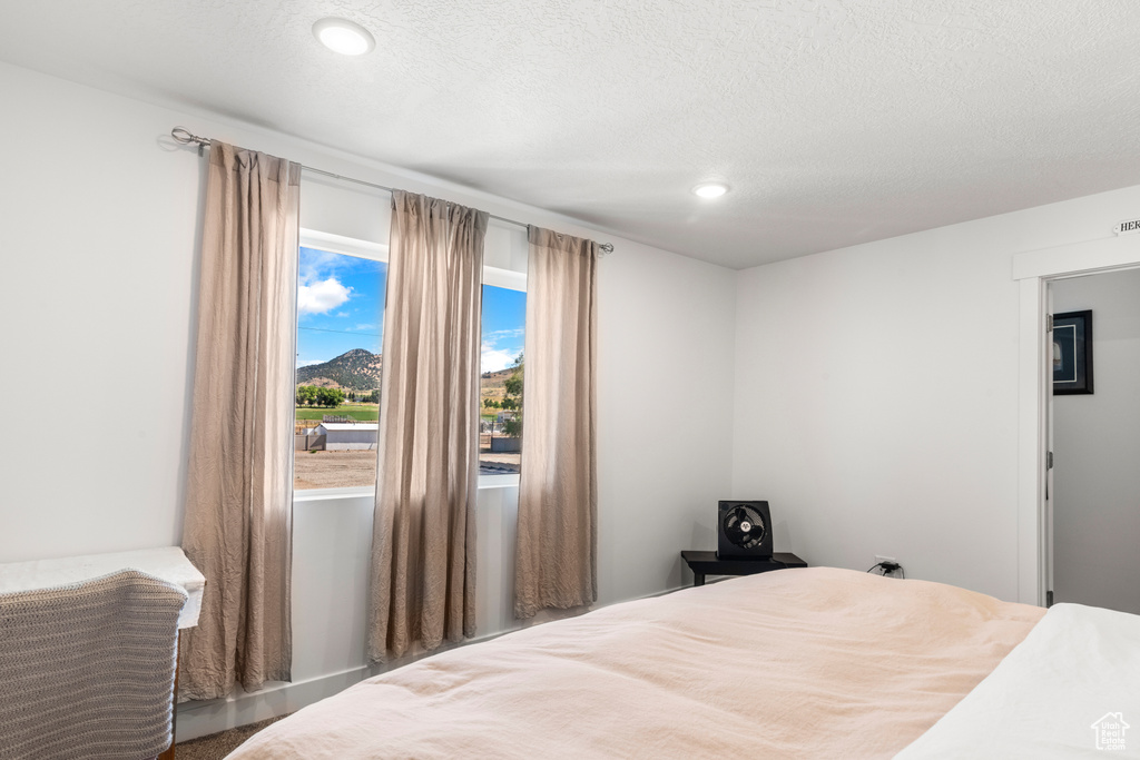 Bedroom with recessed lighting and a textured ceiling