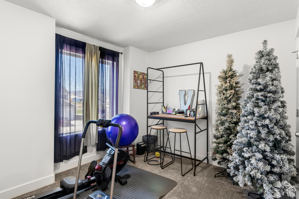 Exercise area featuring carpet floors