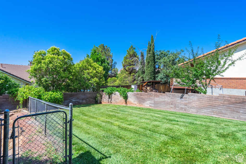 Fenced yard with a gate