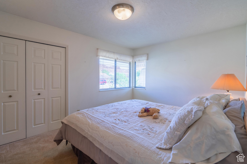 Bedroom with carpet floors and a closet