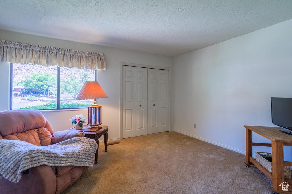 Sitting room with carpet floors and a textured ceiling