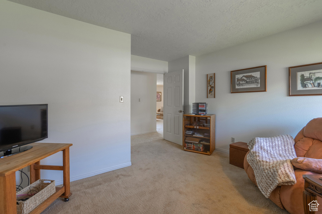 Living area featuring light carpet and a textured ceiling
